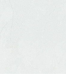 Обои для столовой Bernardo Bartalucci Gaga  84284-22