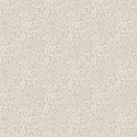 205002