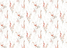 Оранжевые обои в прихожую Marburg Fresh Up 88922