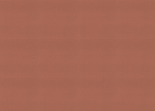 Обои шириной 53 см и длиной 10,05 метров Rasch Allegretto 692730